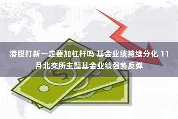 港股打新一定要加杠杆吗 基金业绩持续分化 11月北交所主题基金业绩强势反弹