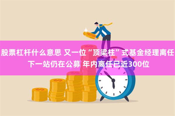 股票杠杆什么意思 又一位“顶梁柱”式基金经理离任 下一站仍在公募 年内离任已近300位