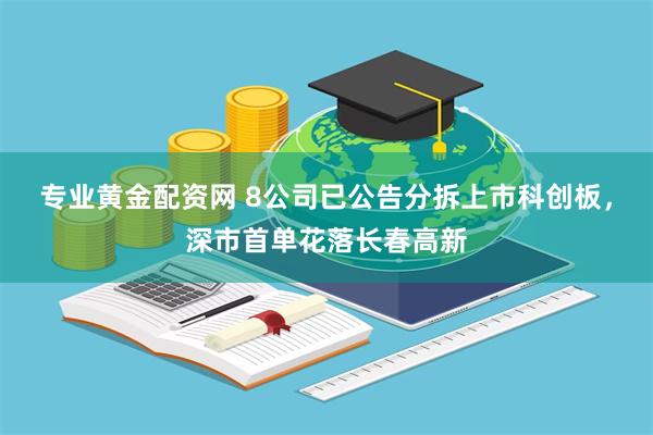 专业黄金配资网 8公司已公告分拆上市科创板，深市首单花落长春高新