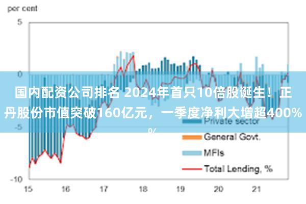 国内配资公司排名 2024年首只10倍股诞生！正丹股份市值突破160亿元，一季度净利大增超400%