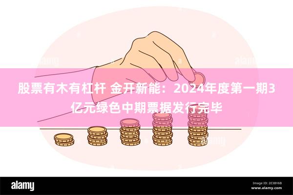 股票有木有杠杆 金开新能：2024年度第一期3亿元绿色中期票据发行完毕