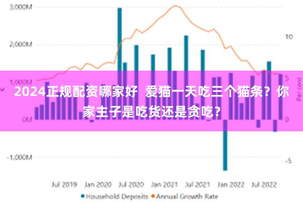 2024正规配资哪家好  爱猫一天吃三个猫条？你家主子是吃货还是贪吃？