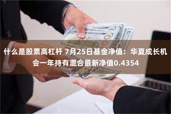 什么是股票高杠杆 7月25日基金净值：华夏成长机会一年持有混合最新净值0.4354