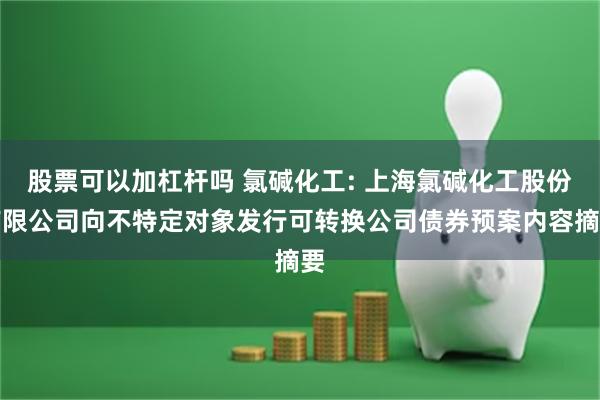 股票可以加杠杆吗 氯碱化工: 上海氯碱化工股份有限公司向不特定对象发行可转换公司债券预案内容摘要