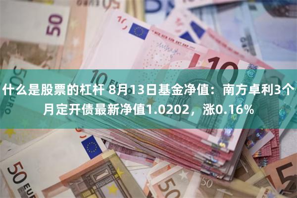 什么是股票的杠杆 8月13日基金净值：南方卓利3个月定开债最新净值1.0202，涨0.16%