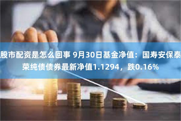 股市配资是怎么回事 9月30日基金净值：国寿安保泰荣纯债债券最新净值1.1294，跌0.16%