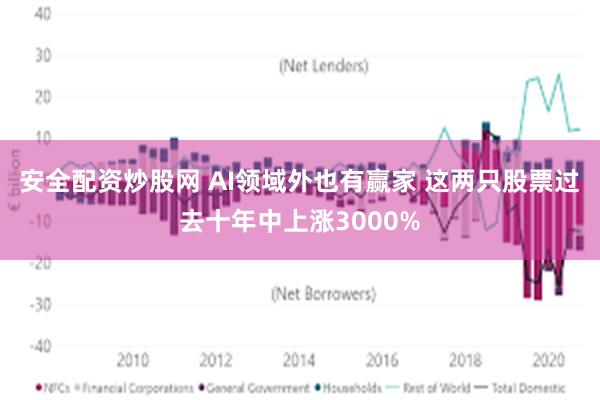 安全配资炒股网 AI领域外也有赢家 这两只股票过去十年中上涨3000%