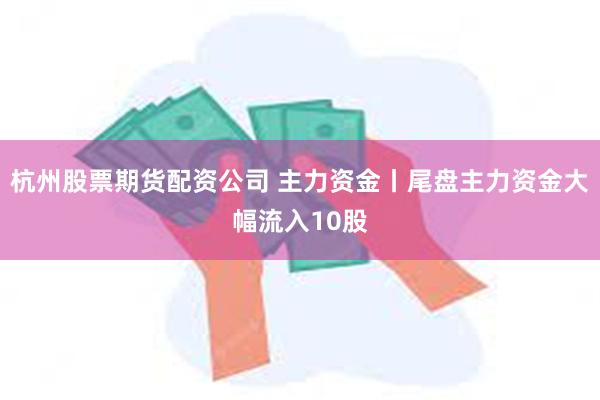 杭州股票期货配资公司 主力资金丨尾盘主力资金大幅流入10股