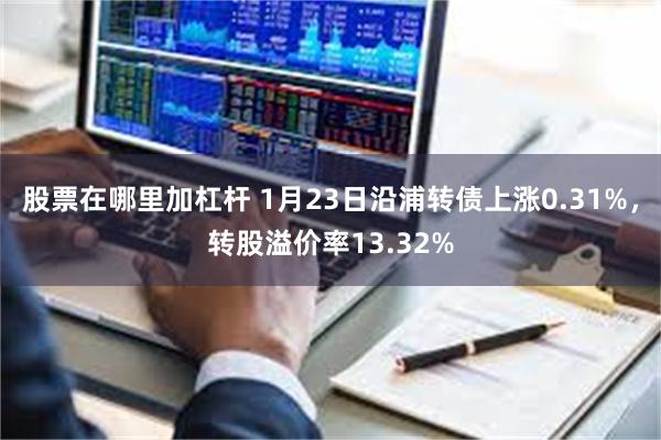 股票在哪里加杠杆 1月23日沿浦转债上涨0.31%，转股溢价率13.32%