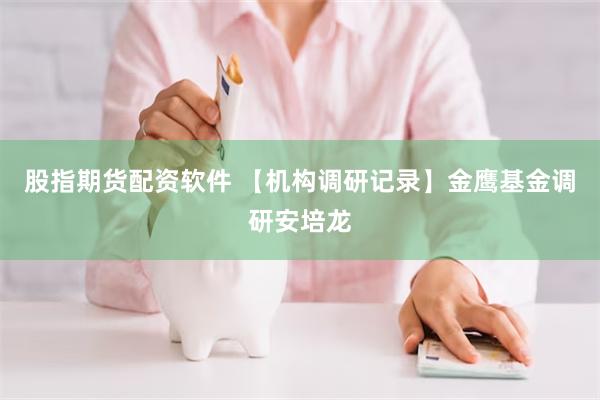 股指期货配资软件 【机构调研记录】金鹰基金调研安培龙